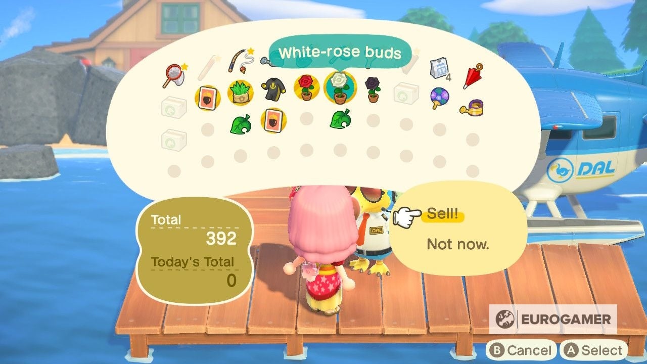 Animal Crossing Harv's Island how to unlock Harv's Island, Photopia